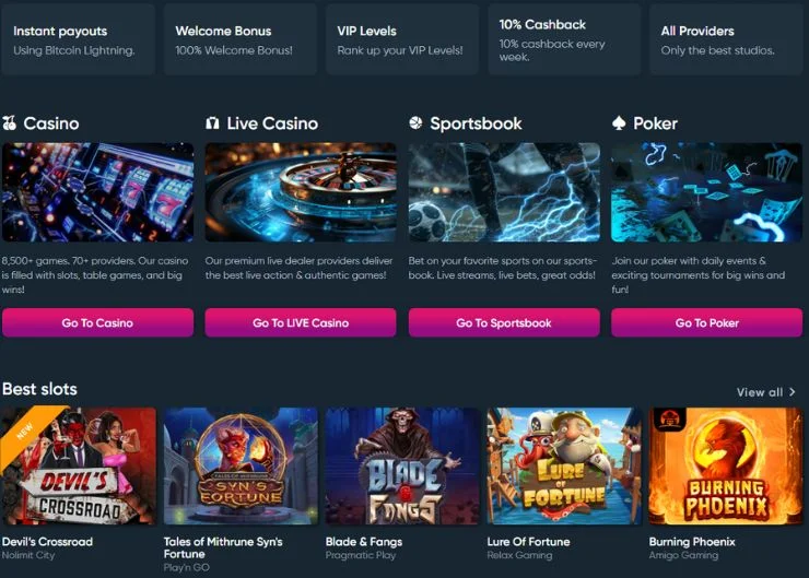 BetPro: The Ultimate Destination for Online Sports Betting